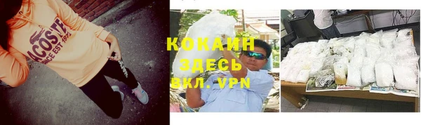 дживик Абинск