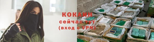 дживик Абинск