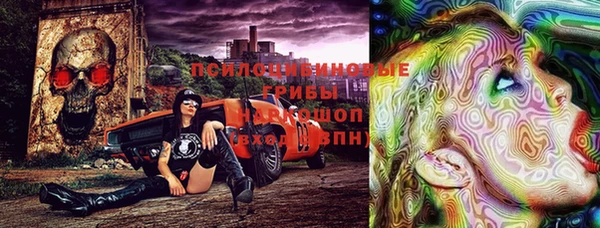 мдпв Абаза