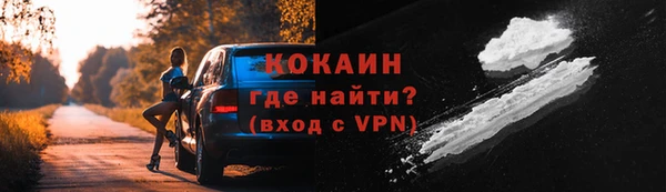 дживик Абинск
