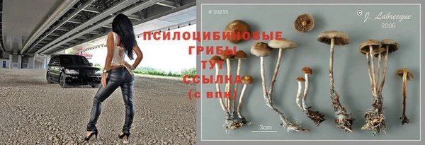 дживик Абинск