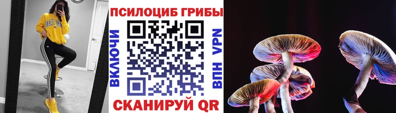 Псилоцибиновые грибы Psilocybe  Суздаль 